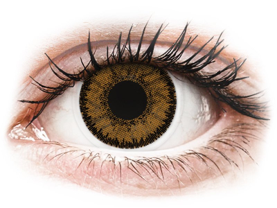 Brown India contact lenses - SofLens Natural Colors - Power (2 monthly coloured lenses)