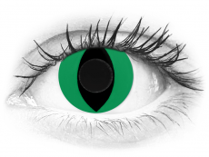 CRAZY LENS - Cat Eye Green - plano (2 daily coloured lenses)