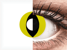 CRAZY LENS - Cat Eye Yellow - plano (2 daily coloured lenses)