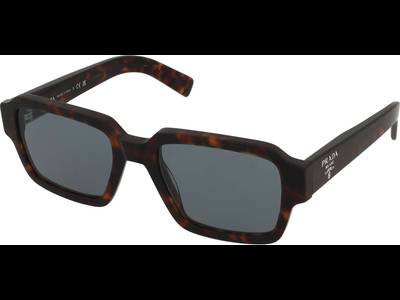 Prada PR 02ZS 17N20N